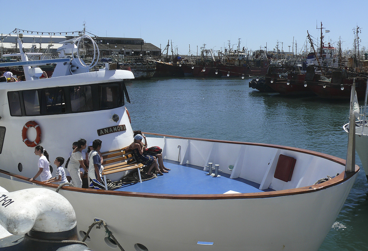 Crucero anamora en el puerto