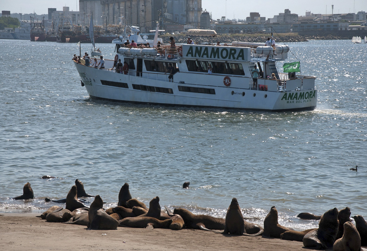 Crucero anamora reserva de lobos