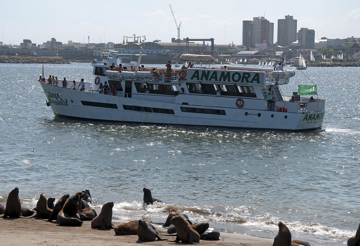 Vista del Puerto de Mar del Plata